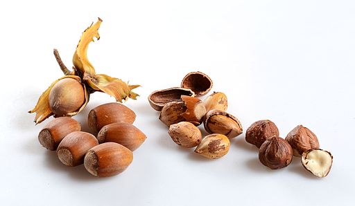 Hazelnuts - Corylus avellana