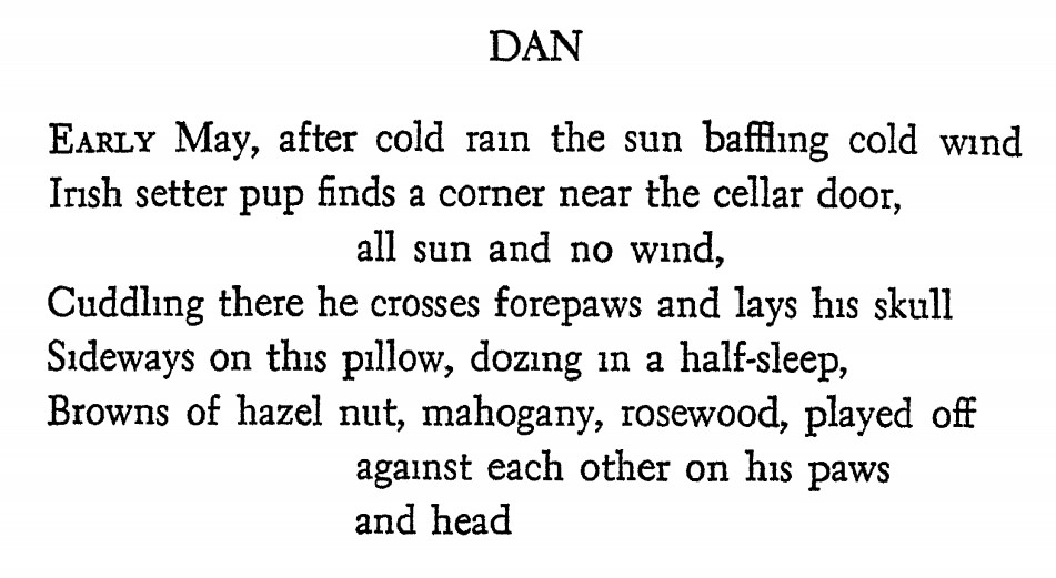 "Dan" - Poem by Carl Sandburg