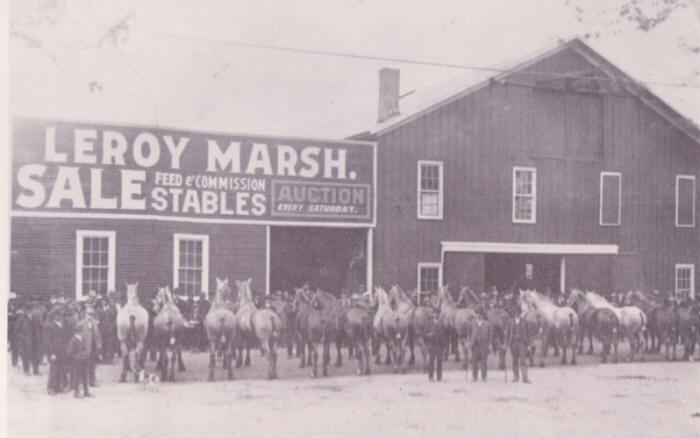 Leroy Marsh Horse and Mule Company, ca.1877?