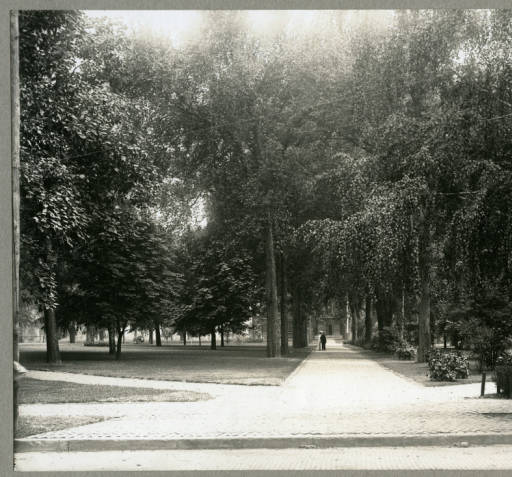 Standish Park, ca. 1903.  Harold Way Photograph Collection, Knox College Special Collections