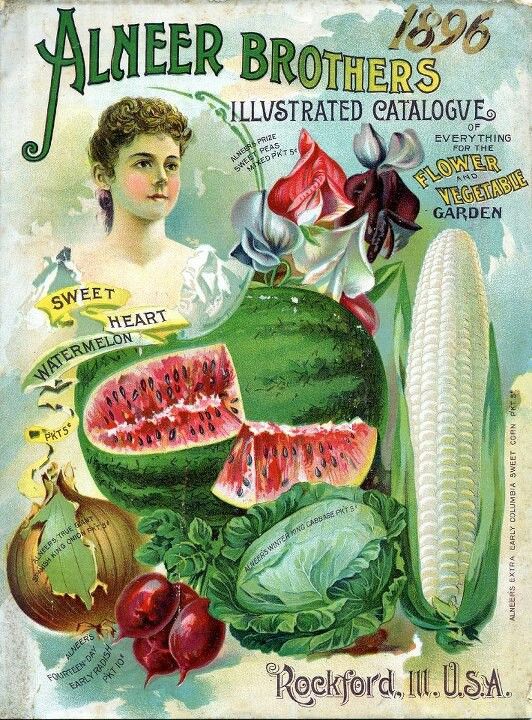 Almeer Seed Catalog - 1896 - Watermelon Cover